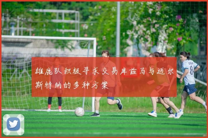 雄鹿队积极寻求交易库兹马与迈尔斯特纳的多种方案